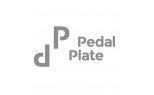 PEDAL PLATE